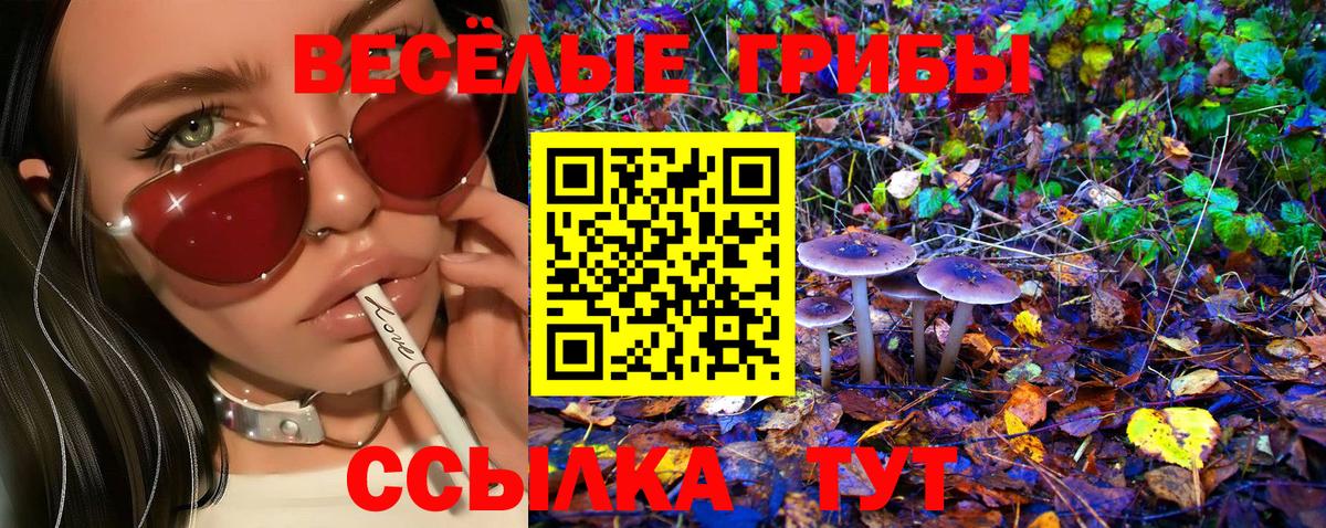 Псилоцибиновые грибы MAGIC MUSHROOMS  Вход с VPN  где можно купить наркотик  Галлюциногенные грибы MAGIC MUSHROOMS  Верхняя Пышма 